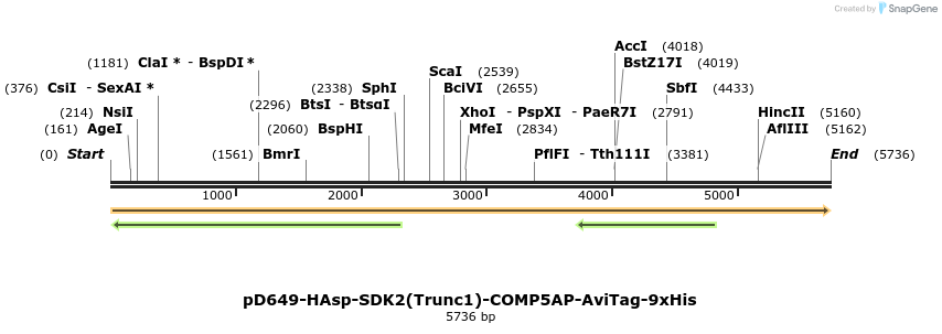 304336_map