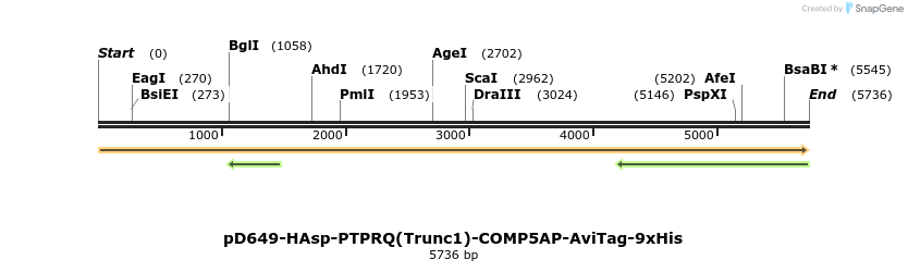 304338_map
