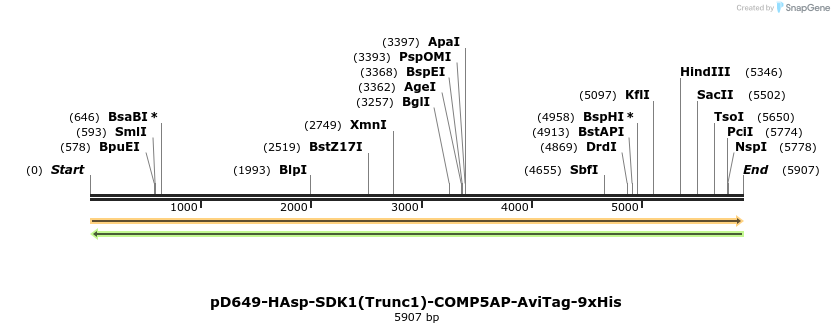 304340_map