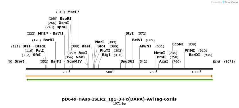 304348_map