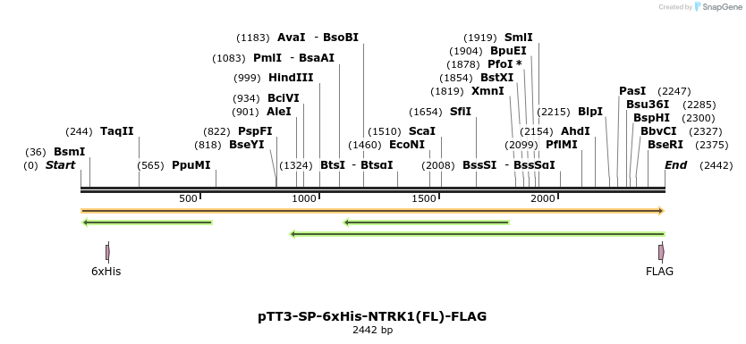 304350_map