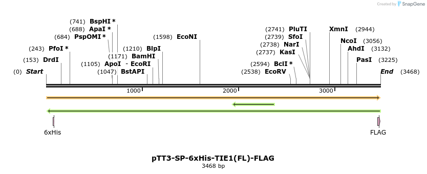304352_map