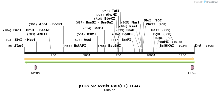 304354_map