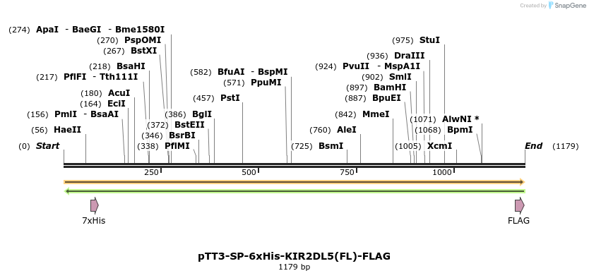 304356_map