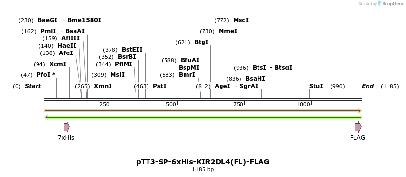 304358_map