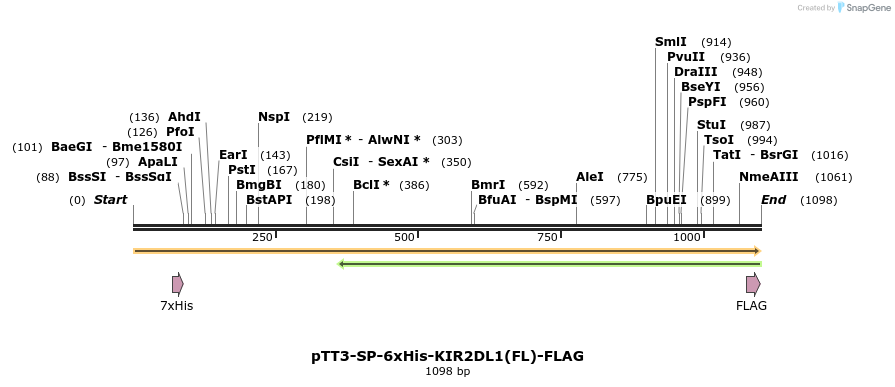 304360_map