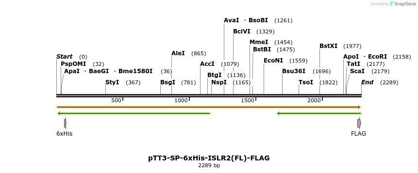 304362_map