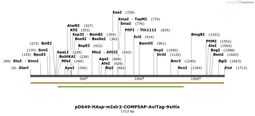304364_map