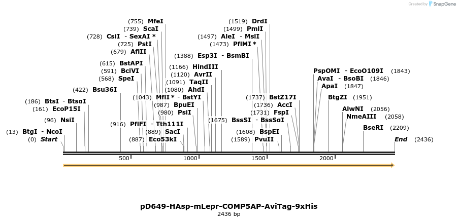304366_map