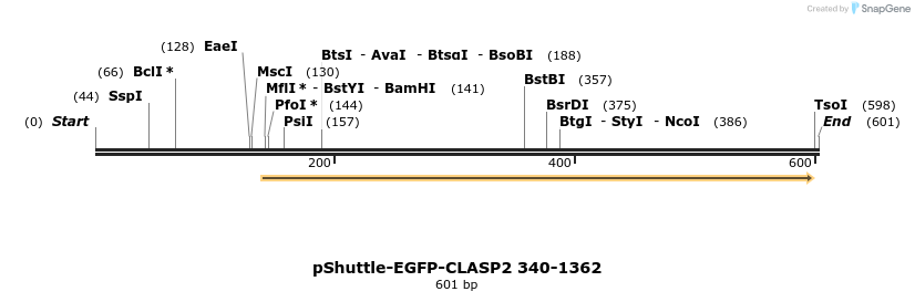 30438_map