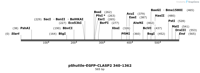 30439_map