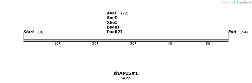 304392_map