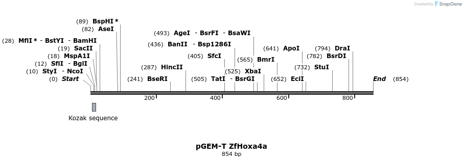 30442_map