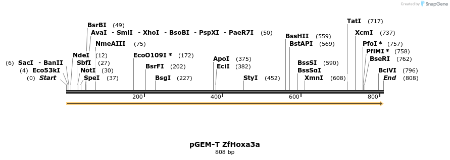30443_map