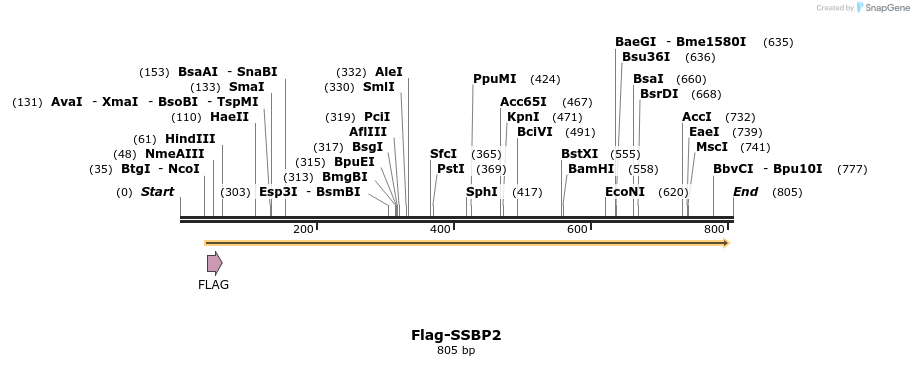 30448_map