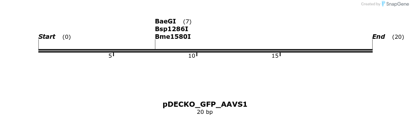 304512_map
