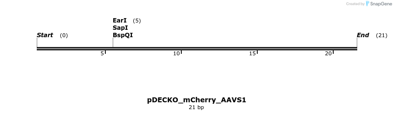 304515_map