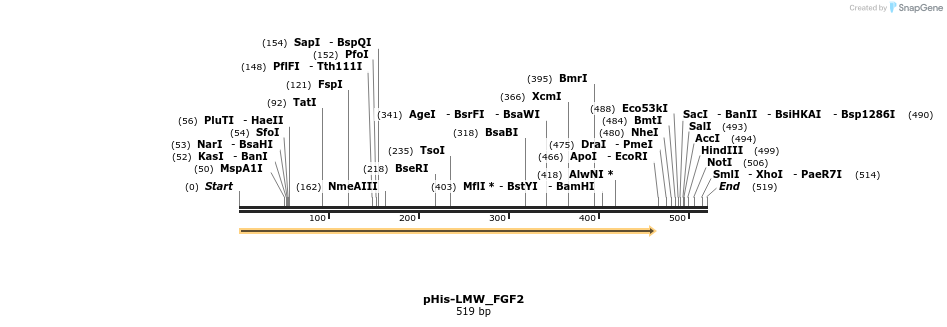 304528_map