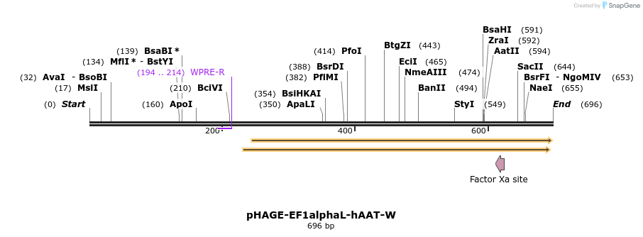 30453_map