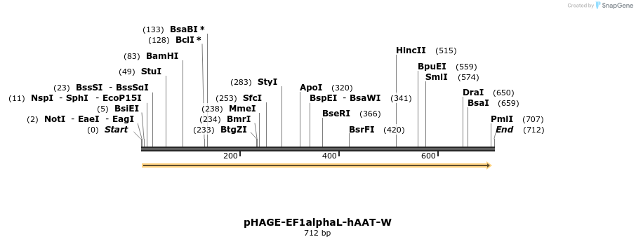 30454_map
