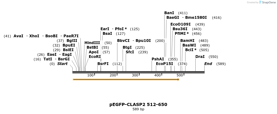 30455_map