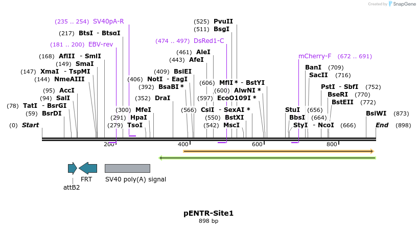 30456_map