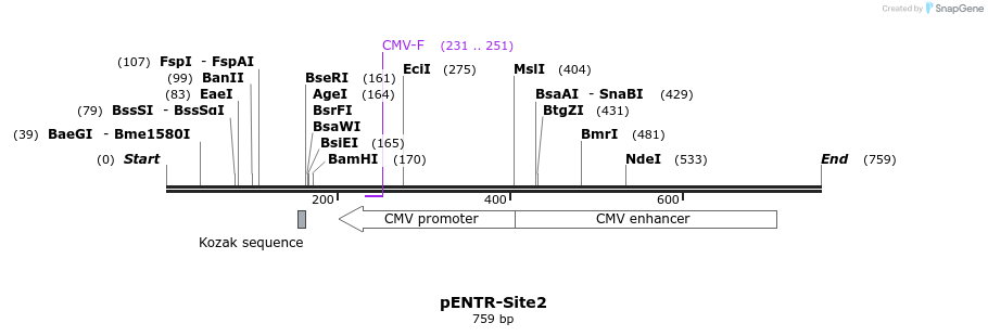 30459_map