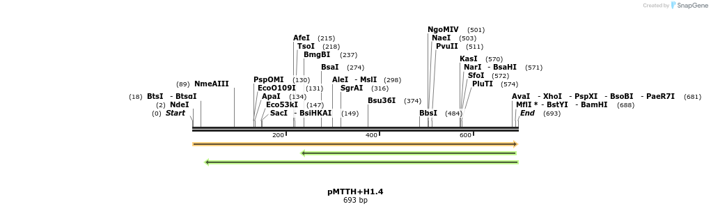 304612_map