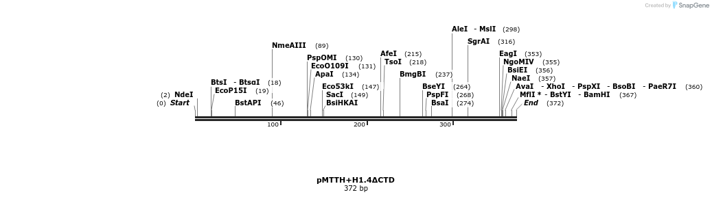 304613_map