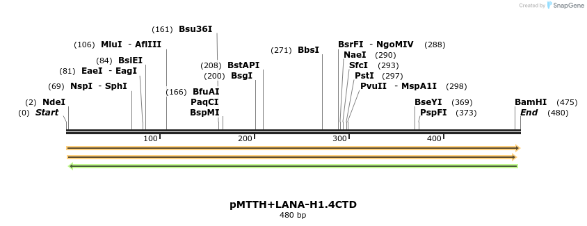 304614_map