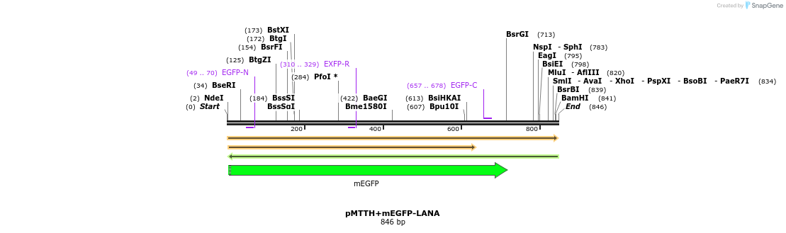304617_map