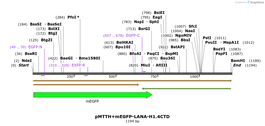 304618_map