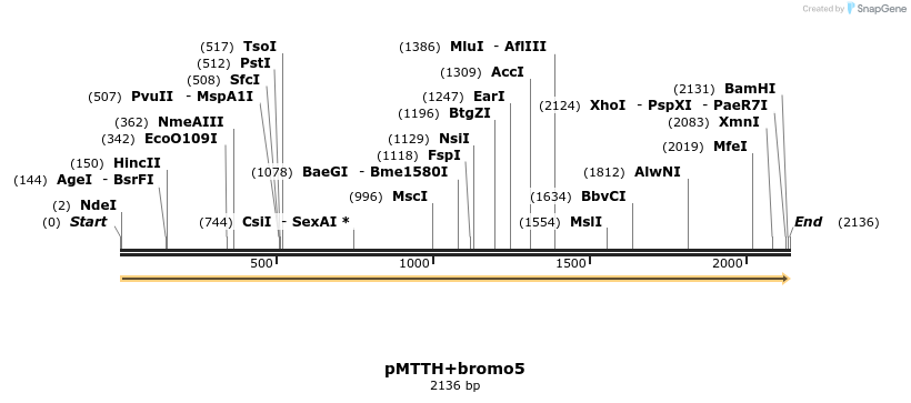 304619_map