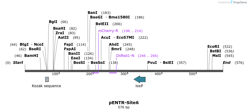 30462_map