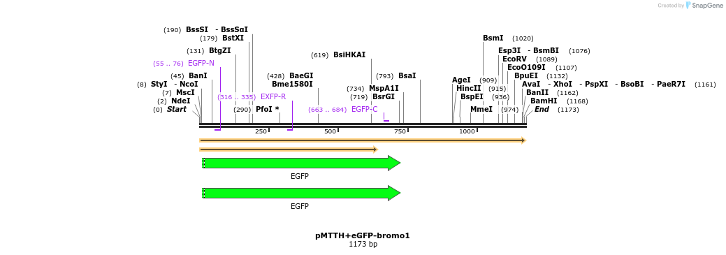 304621_map