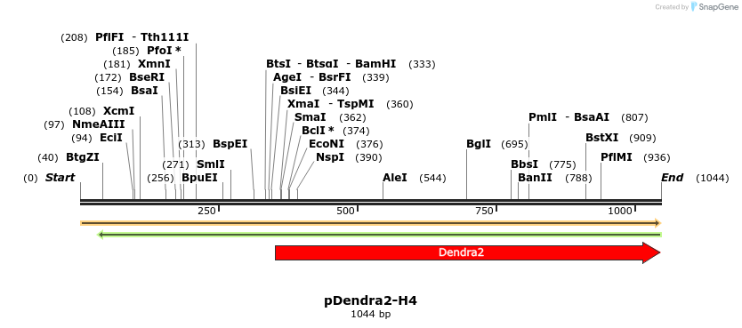 304639_map