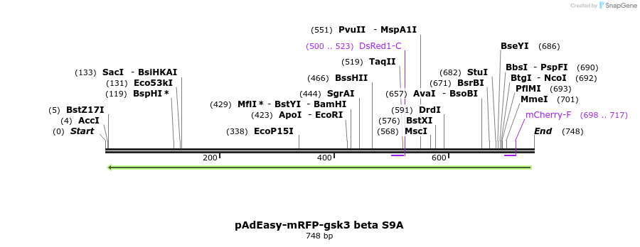 30465_map