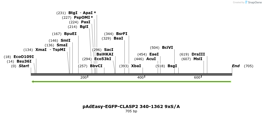 30469_map