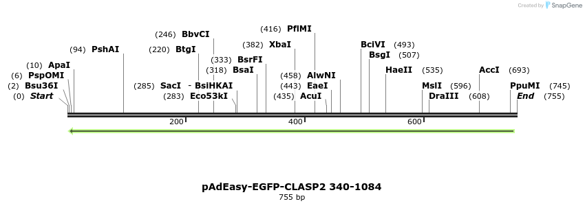 30472_map
