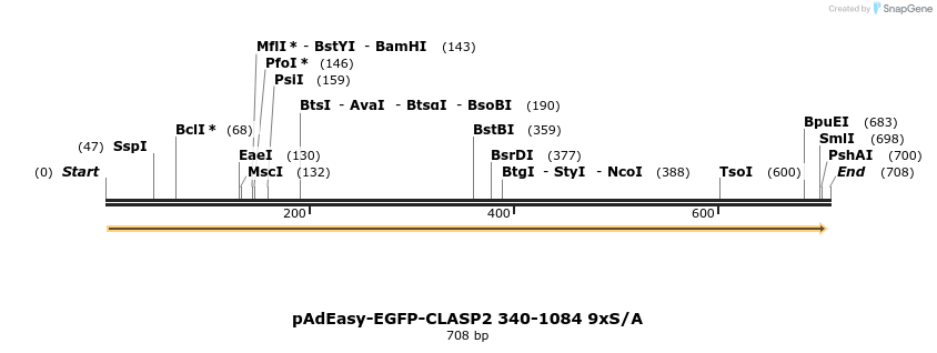 30475_map
