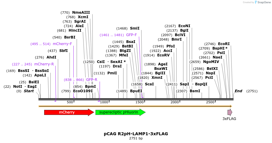 304810_map