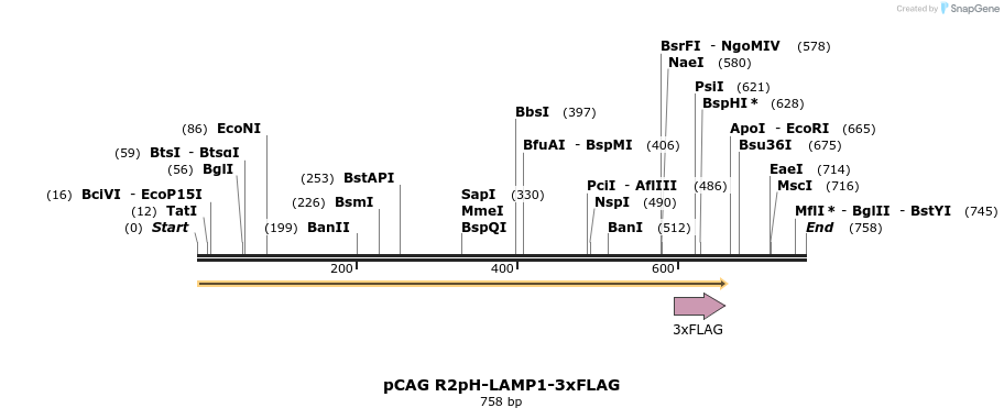 304812_map