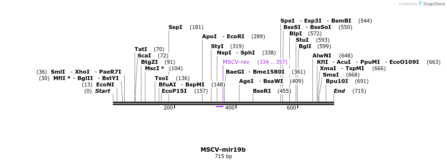 30486_map
