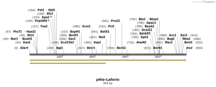304906_map