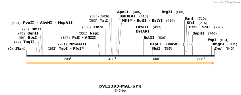 304907_map