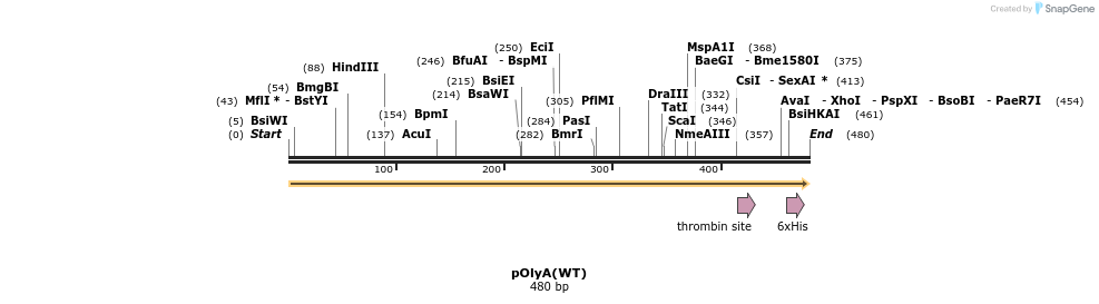 304918_map