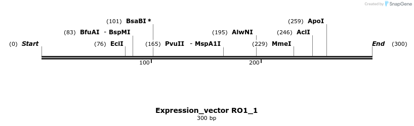 304936_map