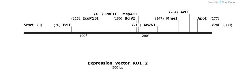 304938_map