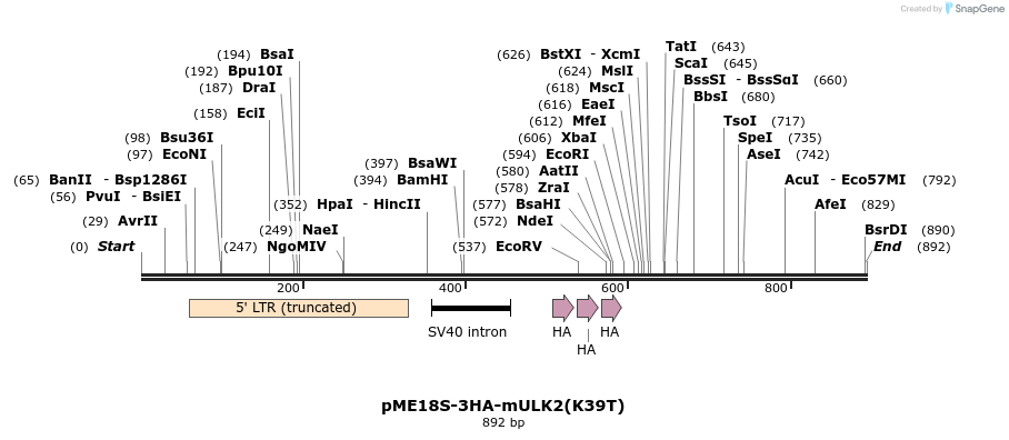 30494_map