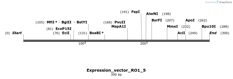 304940_map